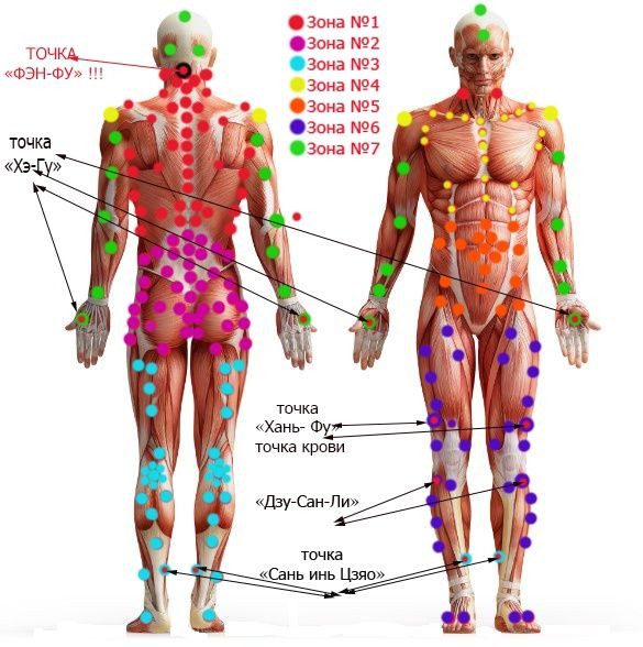 Хиджама точки на теле для лечения с описанием и схемами
