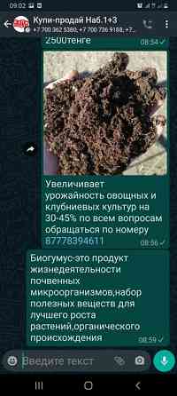 Продам БИОГУМУС 1 мешок 40 кг Павлодар