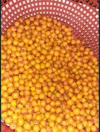 Доставка клубника малина вишня облепиха ежевика овощи фрукты ягоды Нур-Султан