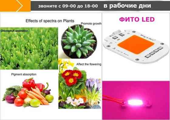 для растений цветов и рассады фито-лампы светильники прожекторы диоды Алматы