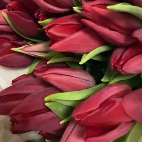 Тюльпаны оптом и в розницу Нур-Султан