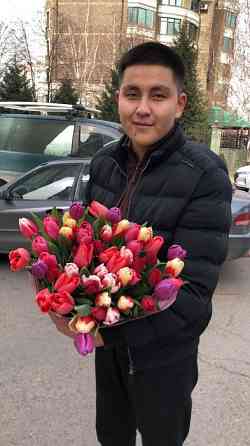 Тюльпаны оптом и розница Алматы