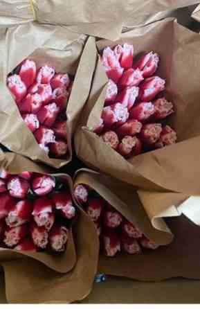 Тюльпаны цветы оптом Алматы