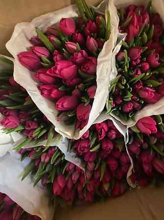 Оптом Тюльпаны, Розы и комнатные цветы Атырау