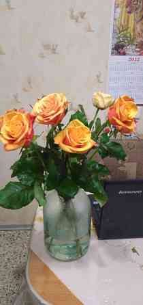 Продаются  цветы :тюльпаны,  розы, хризантемы, каллы Усть-Каменогорск