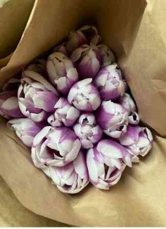 Тюльпаны цветы букеты оптом Алматы