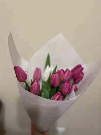 Цветы-тюльпаны свежие, красивые Алматы