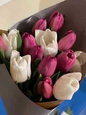 Цветы-тюльпаны свежие, красивые Алматы