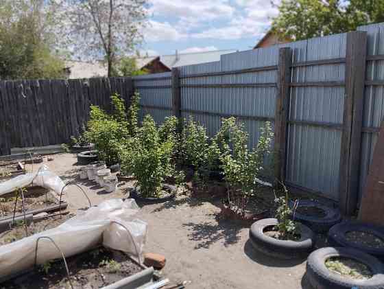 Продам частный благоустроенный дом 3 комнаты, общая - 75 кв.м., кухня - 9 кв.м., участок - 7 соток Семей