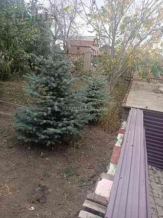6-комнатный дом, 258 м², 9 сот., Колбинский переулок 5 Усть-Каменогорск